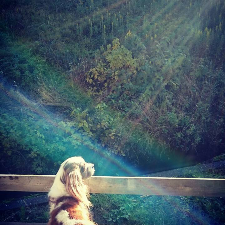 7a0eb3bb 8f14 406f 9670 542a8b71f431 1510267367118