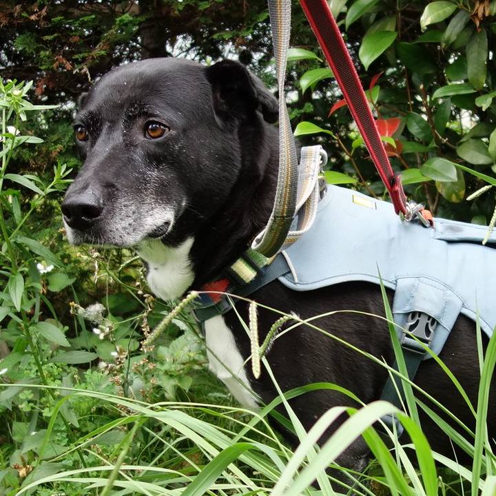 7a0ebf0e d75c 4bcf aa72 78c1eb0128ac 1717894756260