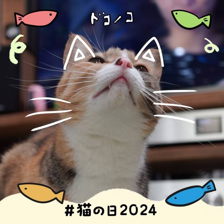 7a0ec407 4ff5 473e b639 403b9e43f447 1708557313055