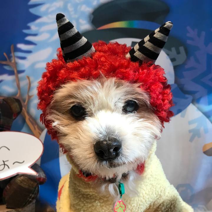 7a0ec836 d865 427d 88bb 65c6b6babbd7 1517755008012