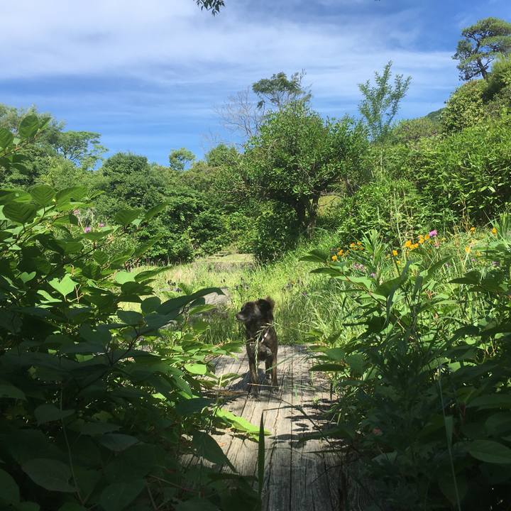 7a0ecef5 dd94 44a9 ac3a d88ade793239 1528960867169