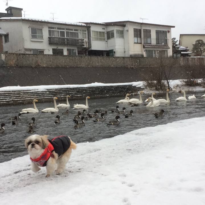 7a0ed888 1eaf 4ead abe5 f3c3c8060258 1516618617134