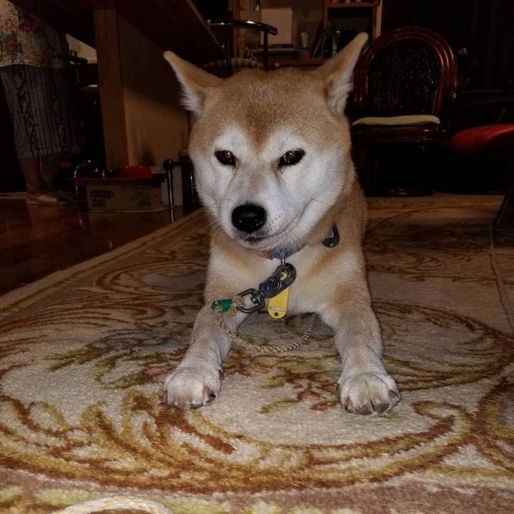 7a0f1ec7 d371 4647 bc24 7f7136fd0a09 1565777426463