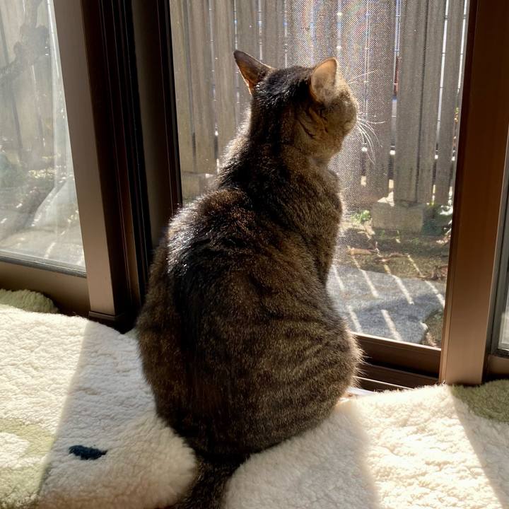 7a0f2405 bece 4d9c 8c15 f590658351ad 1667460541725