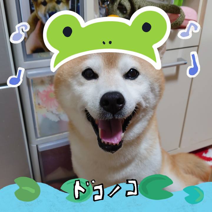 7a0f5b6f 1e19 4765 81bf 68bef897439e 1717934428681