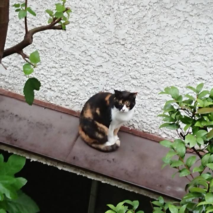 7a0f5c87 cc1e 4088 8b91 f9b1ce05cfe8 1592816028268