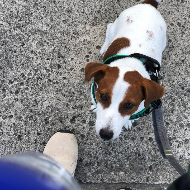 7a0f6a81 7d67 4722 b124 84ad787eef9b 1564192536971