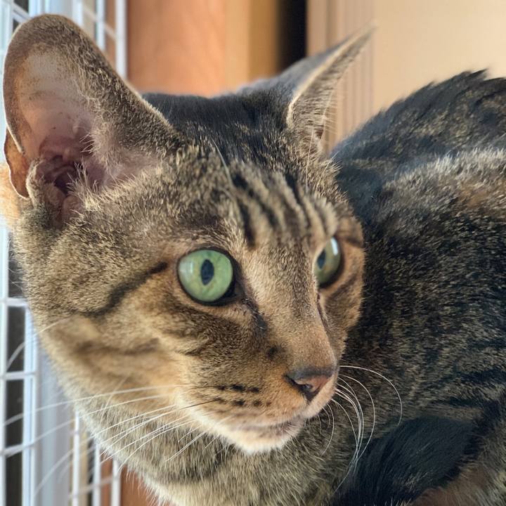 7a0f87ba 15a0 49dc 87ac c3dc5ac58bcf 1559263542796