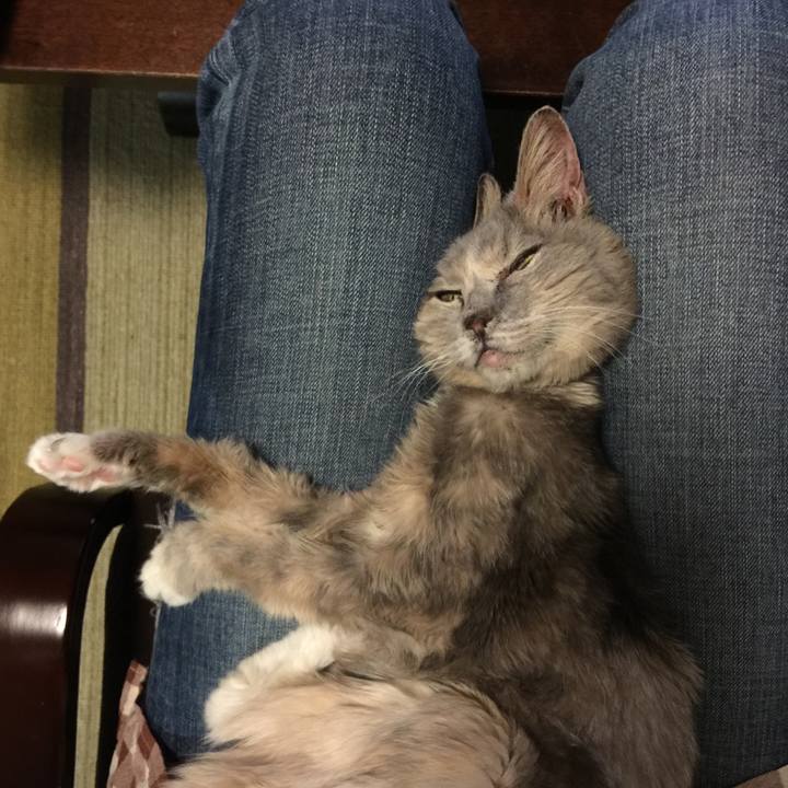 7a0fa4de 37fa 468e 9ca5 ea34ea0897f8 1540036855168