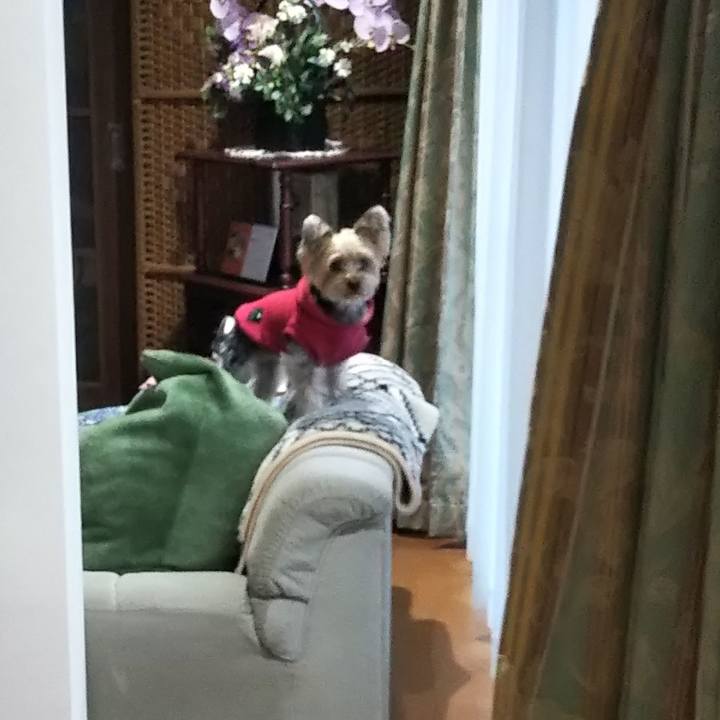 7a0fb3a6 22f1 4256 91e0 a5862ff58b4d 1579048074202