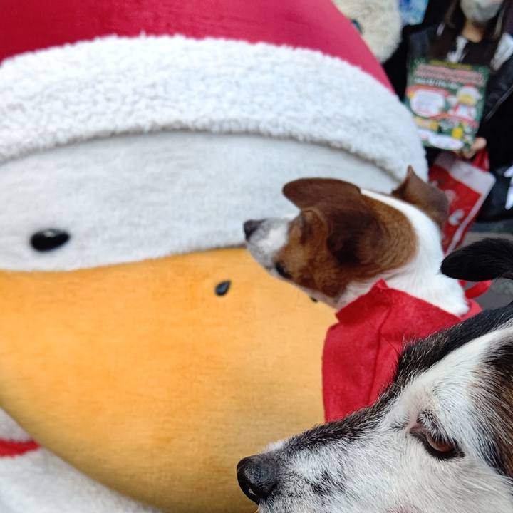 7a0fe0db 3a50 4f2d a727 87795a67f26a 1671350086573