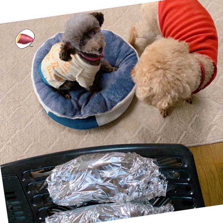 7a0ffa6e 0122 4e81 bb3a 6ceb167039f5 1616657790973