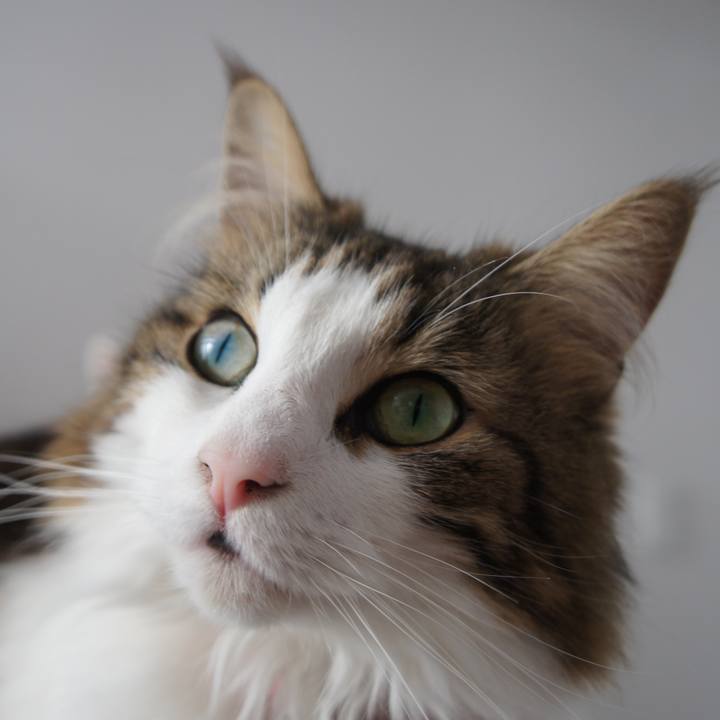 7a100d5b 2a36 4914 bd0e ef9029ccad52 1534074715603