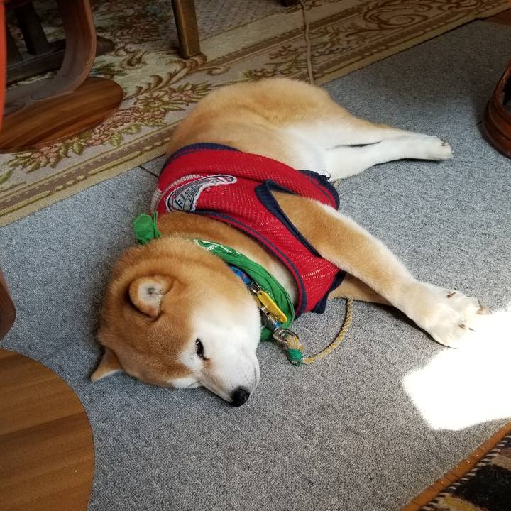 7a1012ac 3672 4053 b978 e9ef2e761bbf 1554337273964