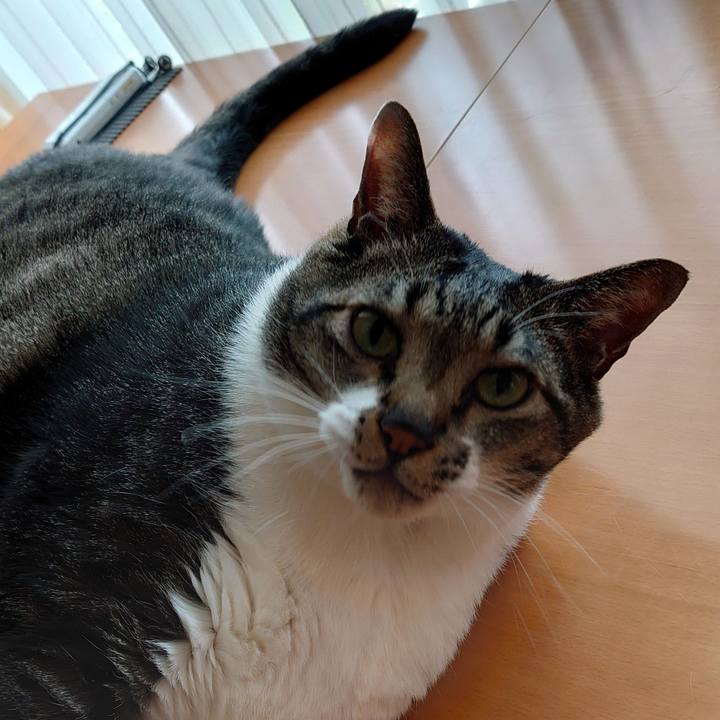 7a1018d6 636a 4c8d a6c8 411d6ea21abf 1625617822493