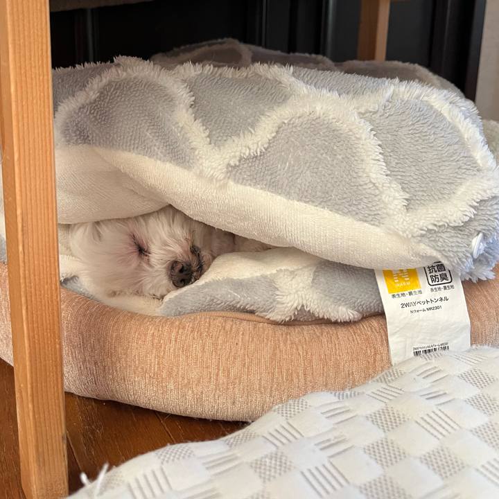 7a101e46 08db 4dab 84aa 4af1546b3260 1772419838849