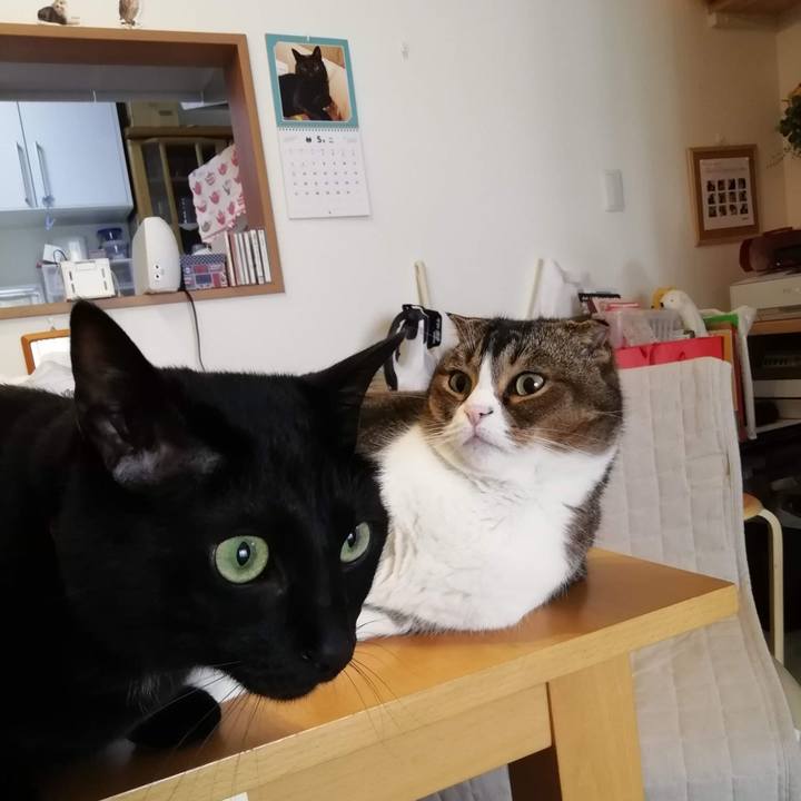 7a102301 00c0 430f 8bc4 dc84b090df69 1556956623250