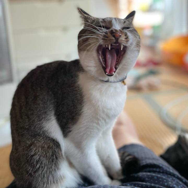 7a1077e6 2d38 44bb 9635 8032e7671213 1647005726379