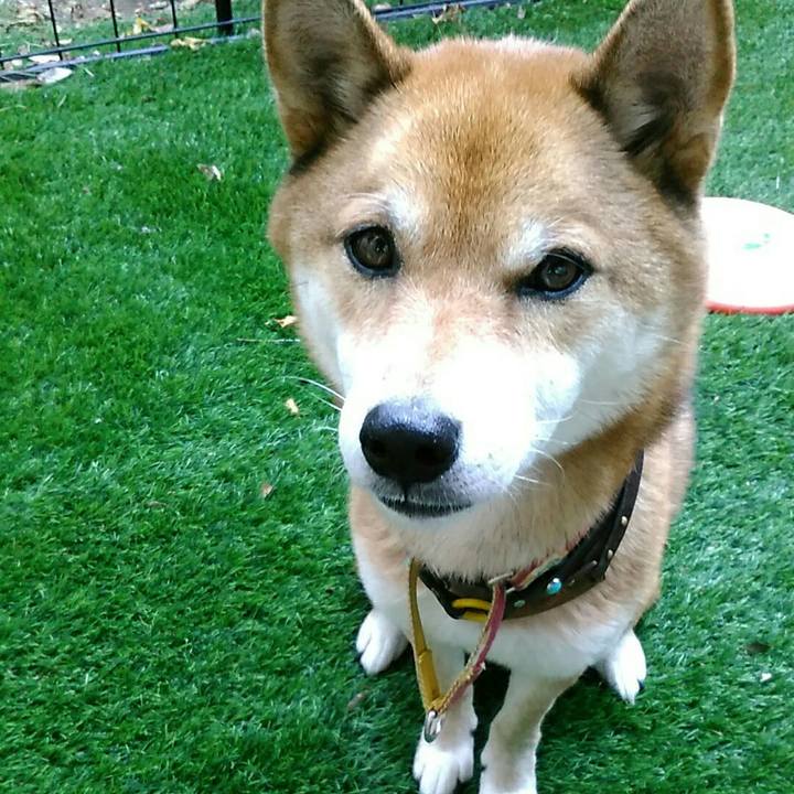 7a107c74 43aa 4745 9889 eaec940c144b 1573801276088