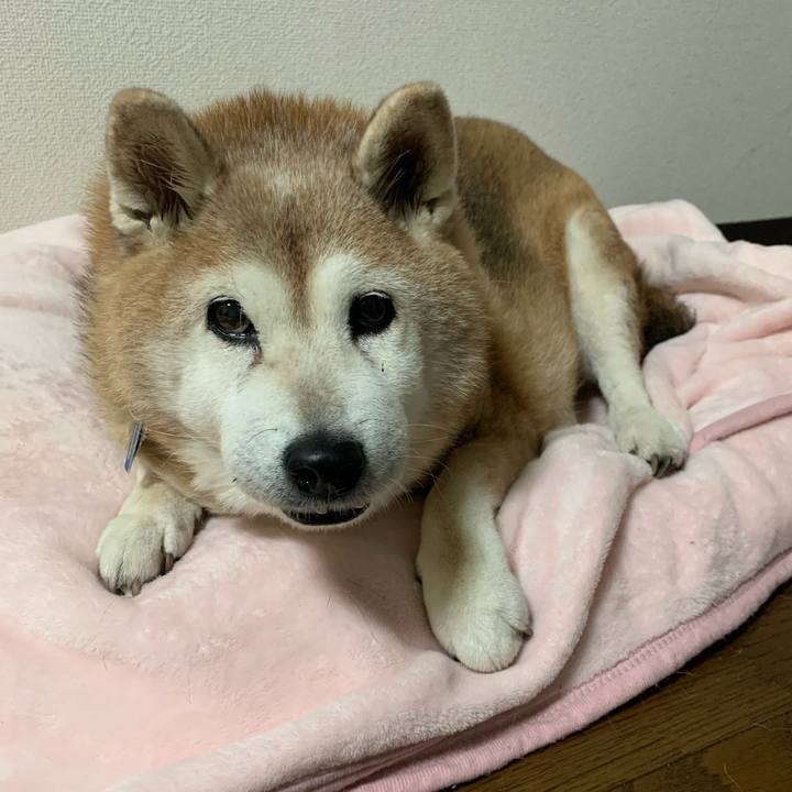 7a1083a9 fc96 4f1c 8240 6f4bfc249748 1639350634446