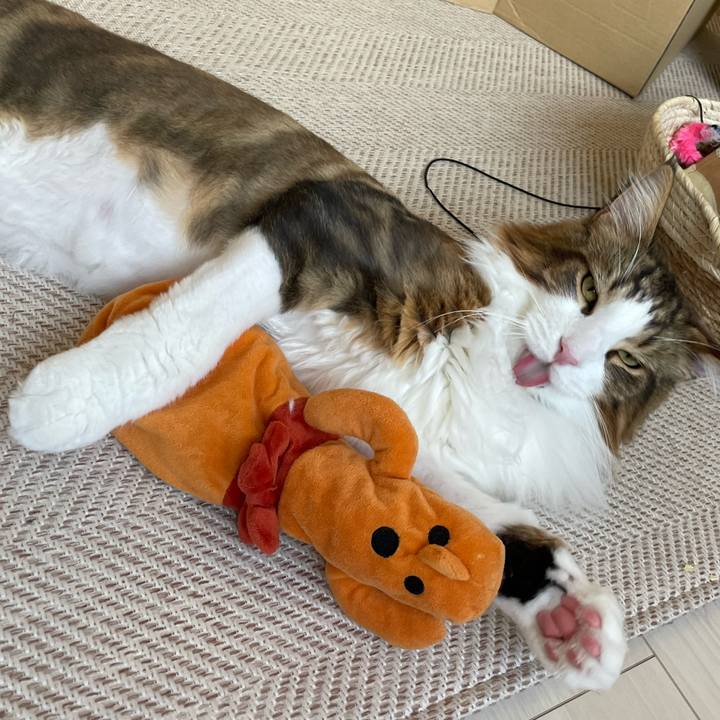 7a10cdeb f8b8 45f4 bc86 23033093f9f7 1660169773190