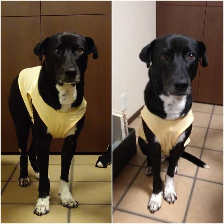 7a10d556 c4e7 4ee5 9d23 833e54095e92 1615372217186