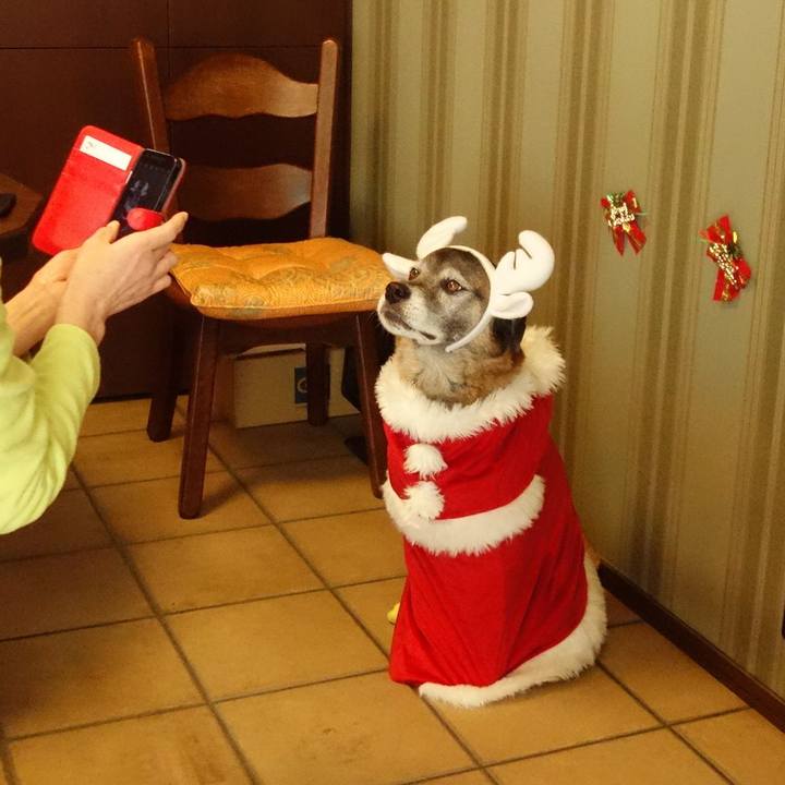 7a10e9d5 cff2 443c bfe6 16f0c4c51077 1655426359345