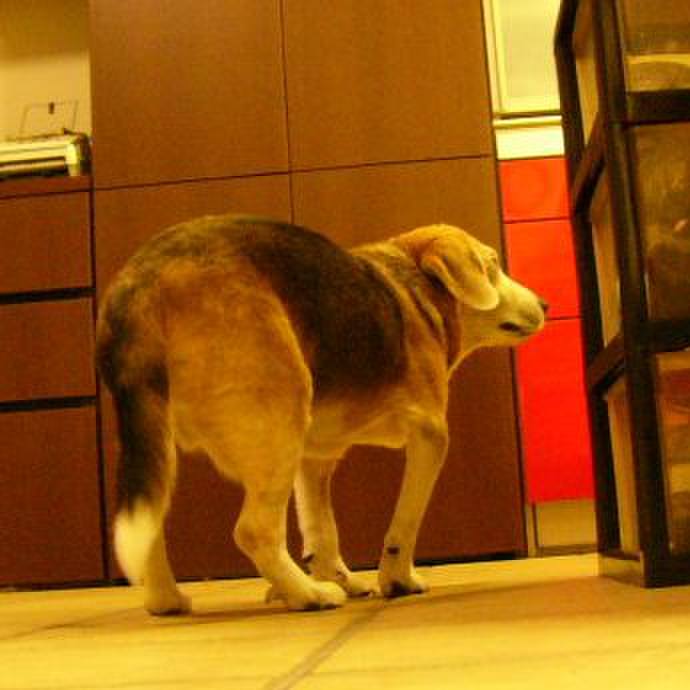 7a110f9d 0cec 445d b84d 21ce74defa4c 1688430576019