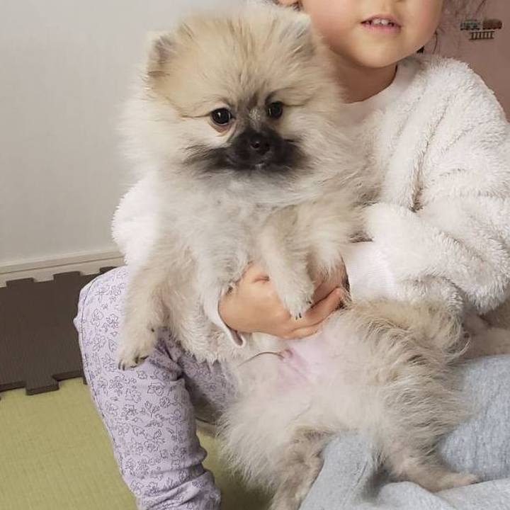 7a11298b c1de 4138 973c cd24ad42ac78 1611742300475