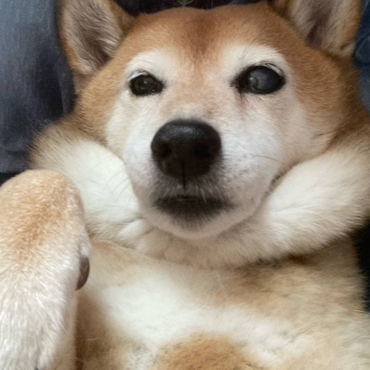 7a113d3b 5d00 4487 a33e 4903fa6efa1a 1657269831903