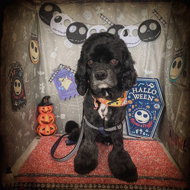 7a11444d 2938 4dd5 8c5e c23e774ac80c 1604109840231