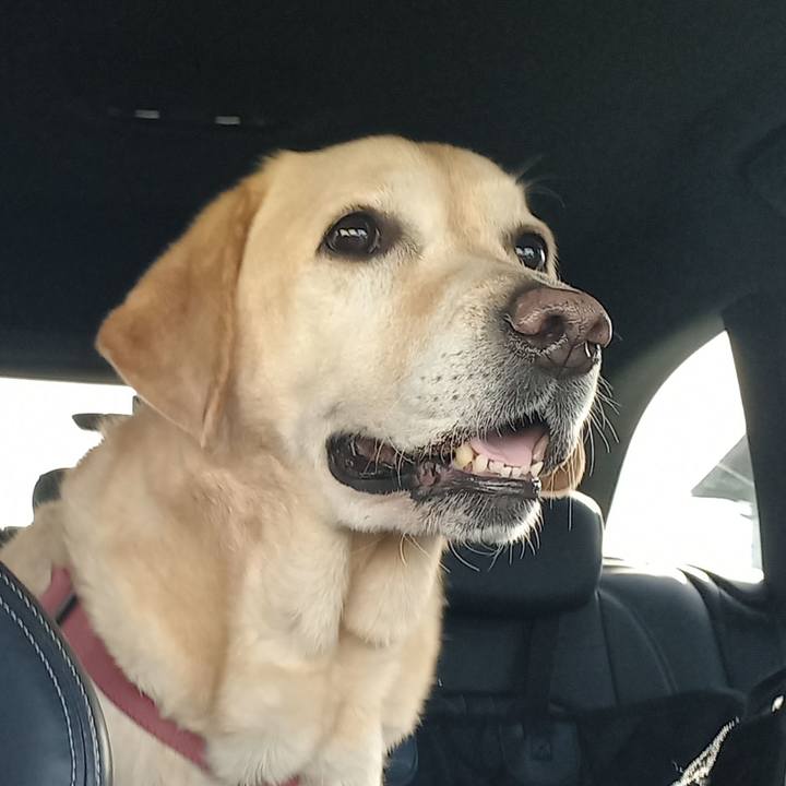 7a1148a0 bc75 4057 b0c0 9113d2c03954 1647859635370