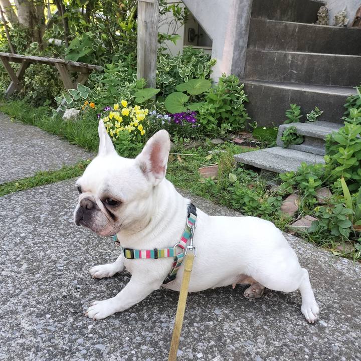 7a118807 30e9 48fb 84a2 8dee39bf76e1 1683857884663