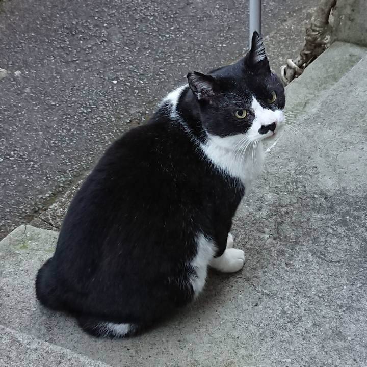 7a11af36 2f52 4fbe 9c48 fd2cad28e7c0 1671923826394