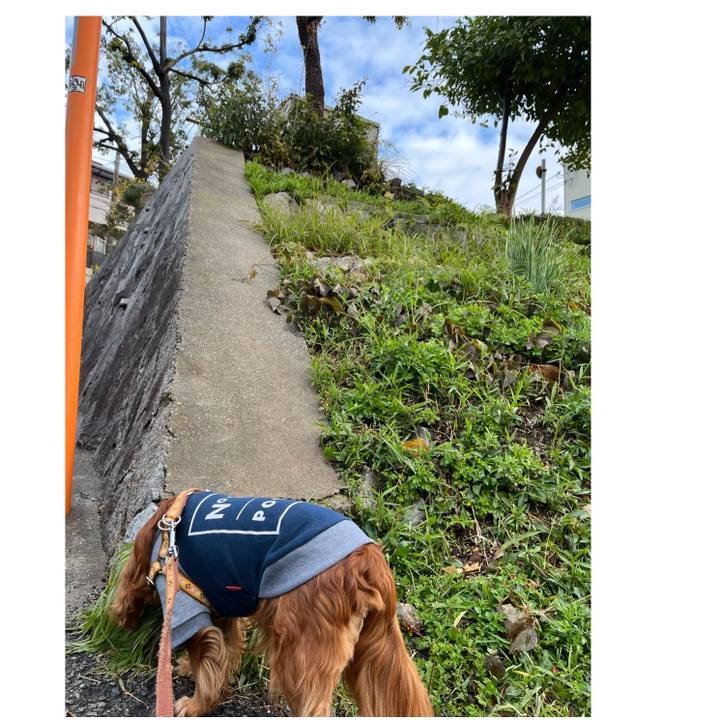 7a11d8cf 9355 465c 9d3a c594d9611373 1671668884660