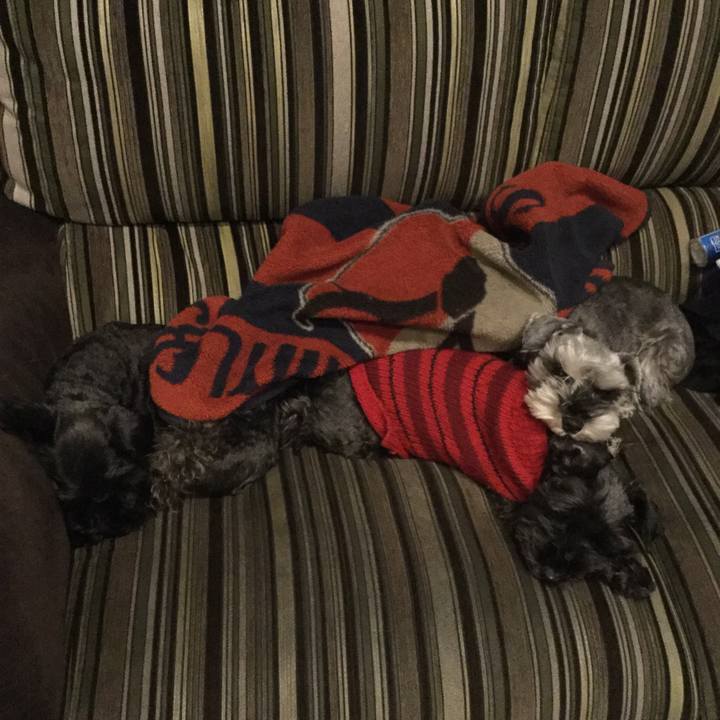 7a121a45 c04e 408d 8d48 87210e0d1540 1549718012898