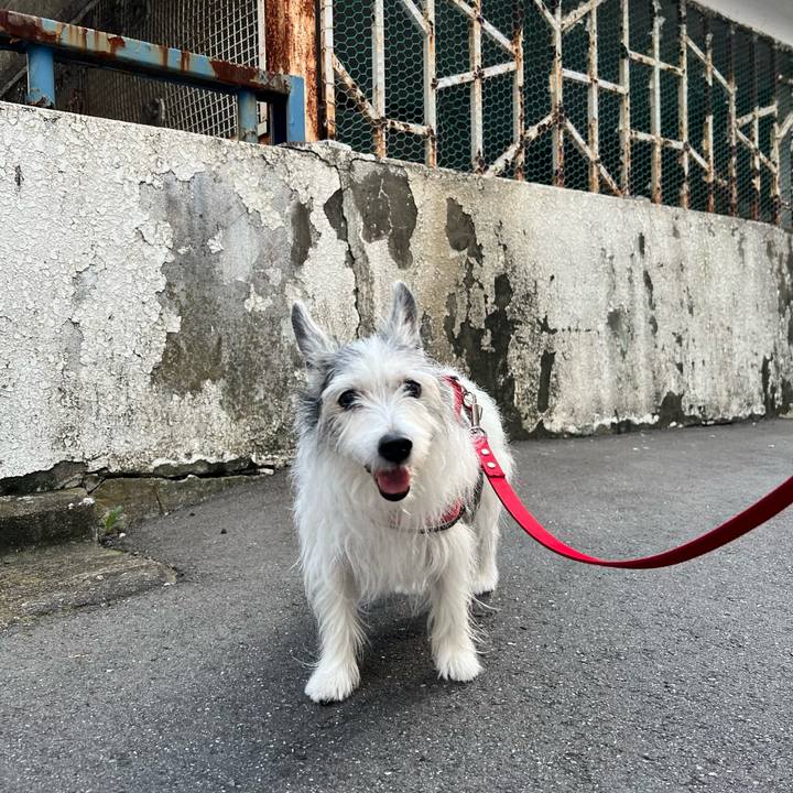 7a121bd3 2225 4186 ad7e b7bf4e0f0e6b 1658108140899