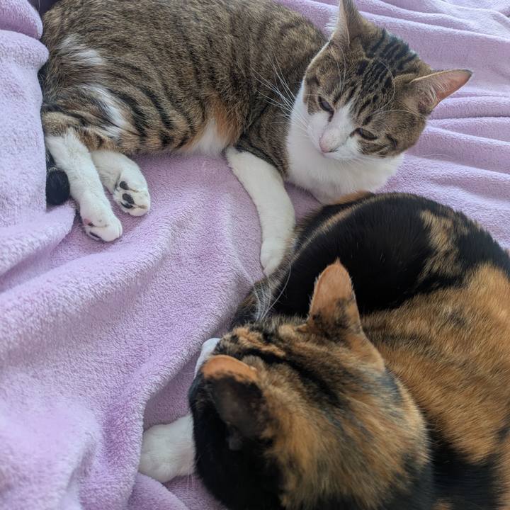 7a1221c5 a295 4f5e b97a 2b6390b58813 1768471983385