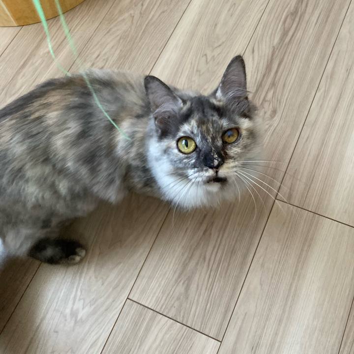 7a12382a 6645 4c7a 93f6 d9396d4f2ae1 1706750154255