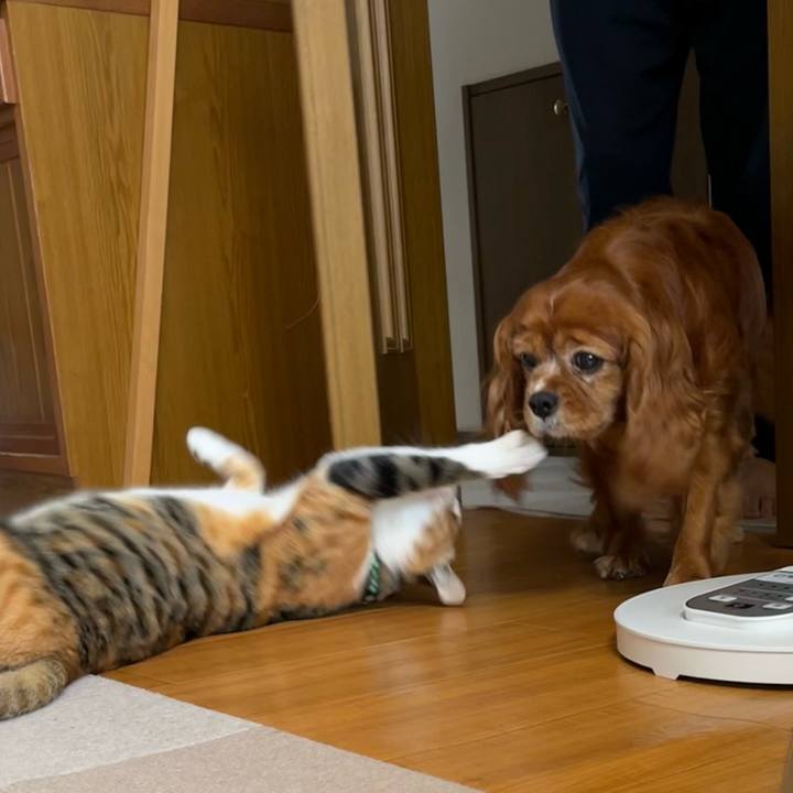 7a125ec8 0d9e 4aed 87de 2c4ffe7c4278 1686888770855