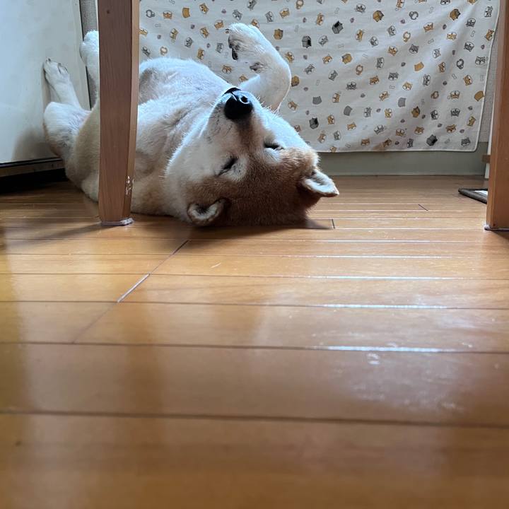 7a126ca4 f361 45c1 ae26 29cdc3eeb15f 1719884439693