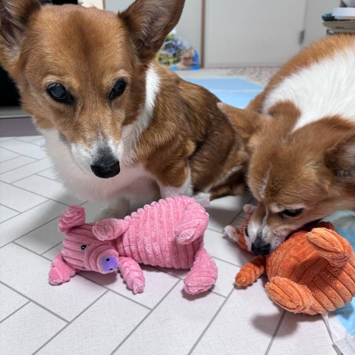 7a127329 4995 41bd 9249 27b40932847b 1752671144407