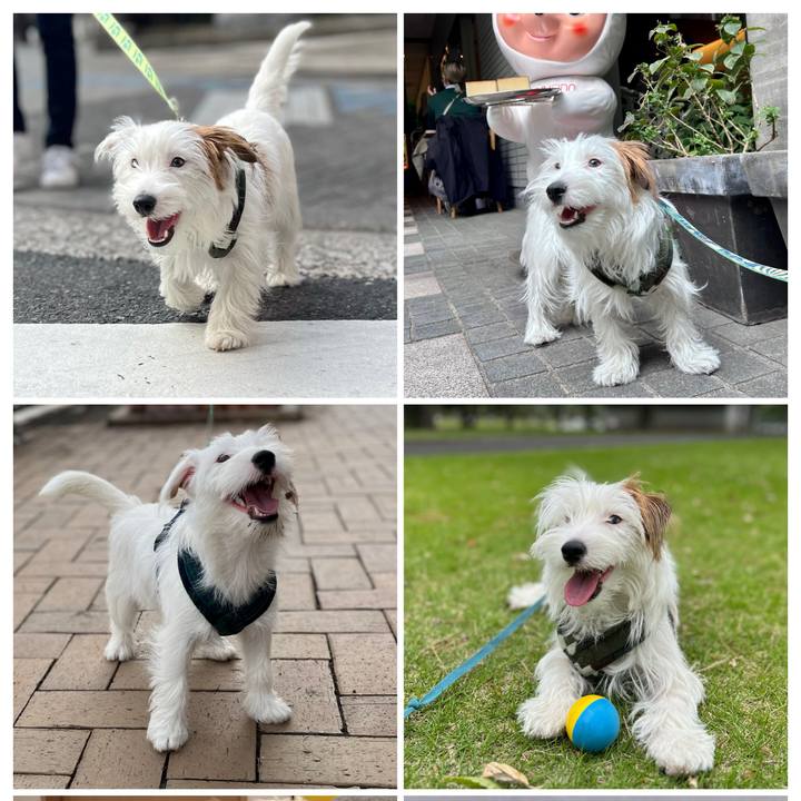 7a12b469 20b1 43a2 b9e0 c4b8977e6dd9 1733097330956