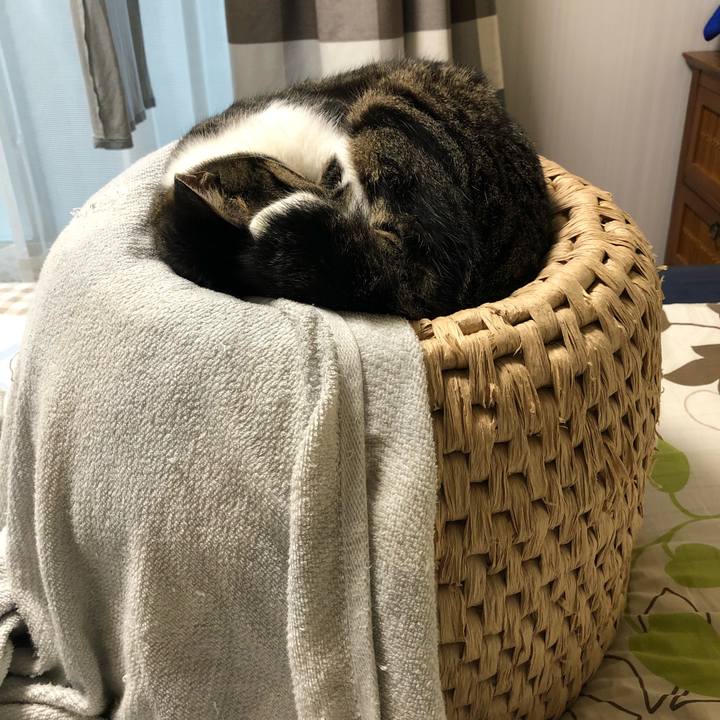 7a12f83b 3041 4ab6 96ad 6255fd6a24e1 1528632664300