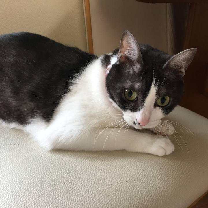 7a136d53 2295 4cde 9308 4d985b48f314 1507974102275