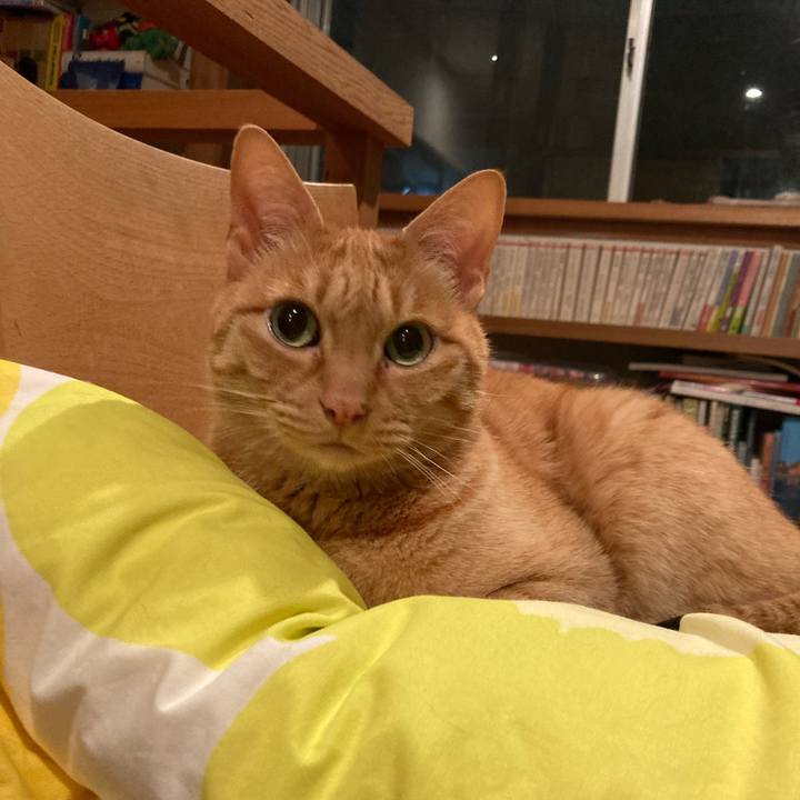 7a137356 8879 4dd3 af5c 4255a69f6ff3 1652703880364