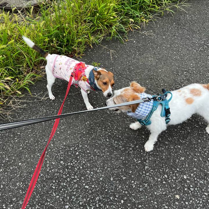 7a1382b9 f2e5 4fea bac8 03fa8d2d373d 1756771226681