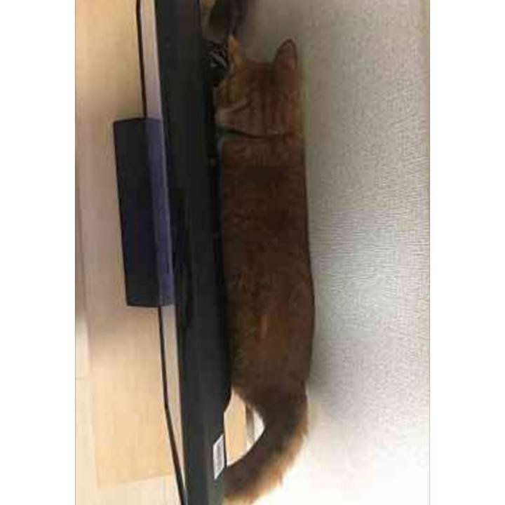 7a138e55 d265 4ed0 b1a0 8c6cc762429f 1590980850477