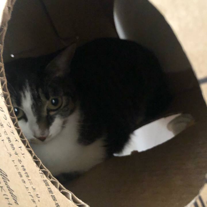 7a1392e6 88cd 4d06 9d45 ecb6f327624c 1598815548750