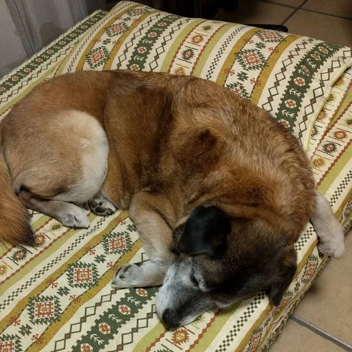 7a139c1f 9e14 464a b382 ac1c1c1a1efa 1554470281278